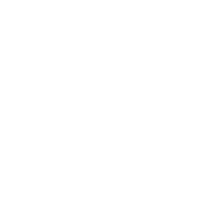 ACCIONISTAS